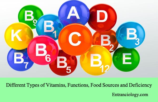 different-types-of-vitamins-functions-food-sources-and-deficiency