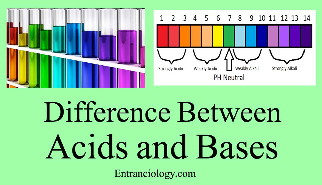 What Are The Bases Chemistry