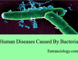 list of human diseases caused by bacteria entranciology