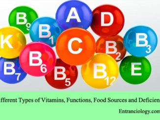 Different Types of Vitamins, Functions, Food Sources and Deficiency entranciology