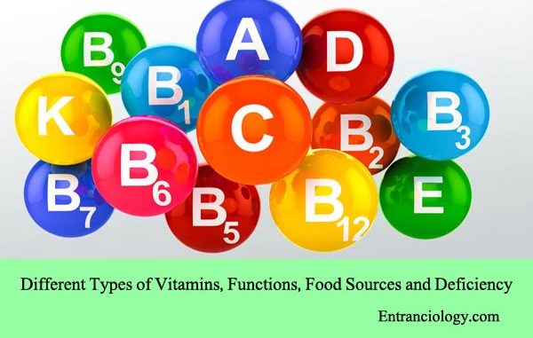 Different Types of Vitamins, Functions, Food Sources and Deficiency entranciology