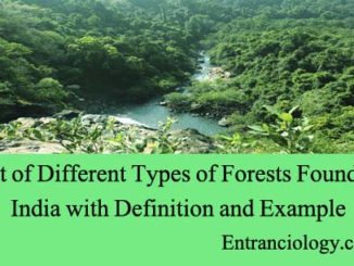 List of Different Types of Forests Found in India with Definition and Example entranciology