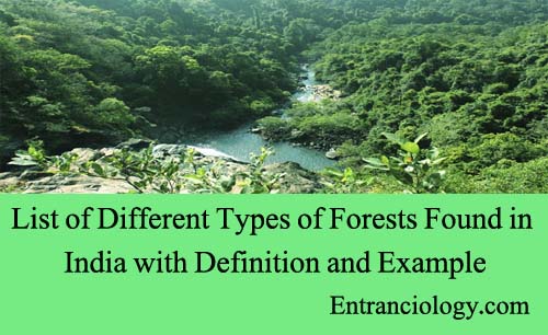 List of Different Types of Forests Found in India with Definition and Example entranciology