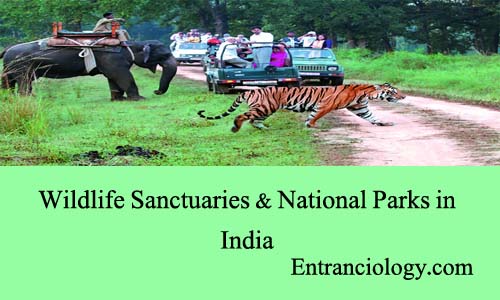 wildlife sanctuaries and national parks in india entranciology