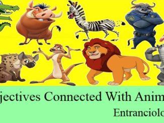 adjectives connected with animals names for competitive exams entranciology