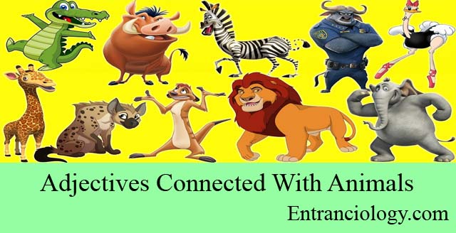 Adjectives Connected With Animals For Competitive Exams | Competitive  English