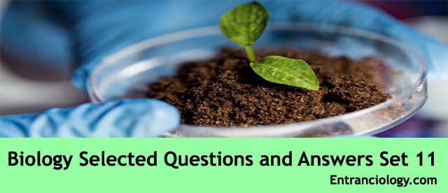 biology solved questions and answers previous years papers entranciology science mock test paper set 11